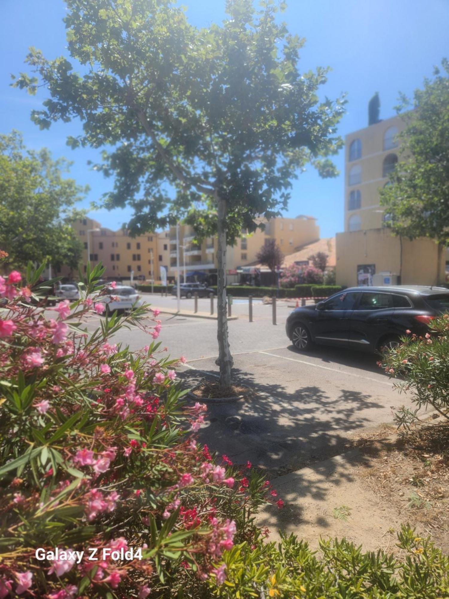 גרואיסאן Grand Studio Cabine Proche Plage Et Port מראה חיצוני תמונה